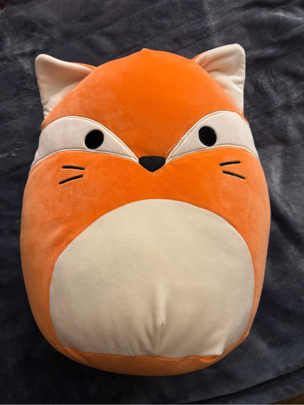 James The Orange Fox Squishmallow
13in x 10in